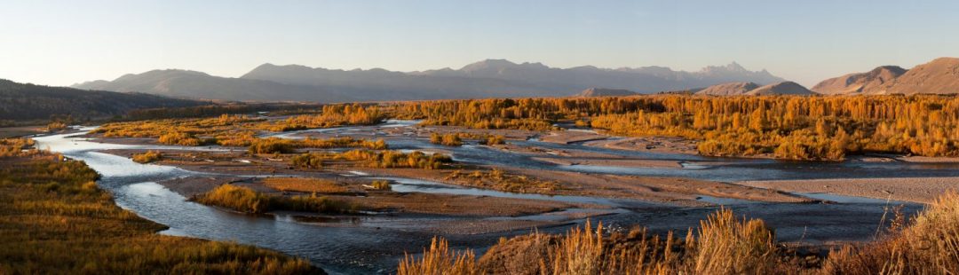 David-Stubbs_Snake-River-Brides-2010
