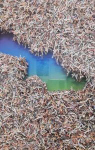 Janine Mackenroth_shredded horizon _no-3_no-4_2025