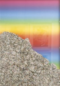 Janine-Mackenroth_shredded_horizon_no-4_1