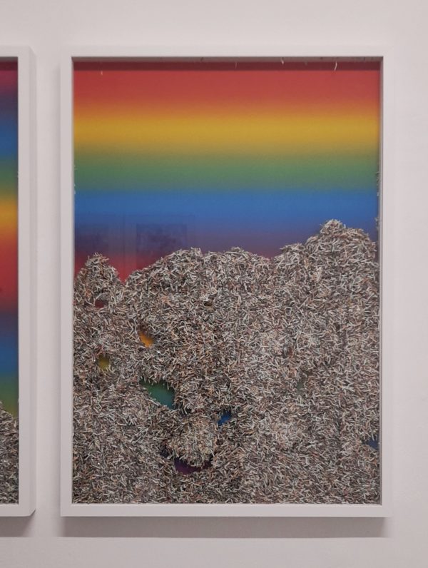 shredded horizon no. 4  | 2025 - Image 3