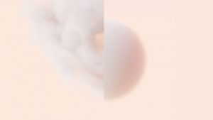 01_gabi-schillig_intimacy-of-roundness-2025_digital-animation-w_distant-realities