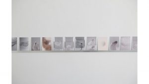 12_gabi-schillig_what-does-it mean-to-be-inside-something_series-of-photographs-by-hee-hee-kyoto-2025