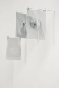 Gabi-Schillig_Ethereal-Space_2025_washi-paper_Installation_5