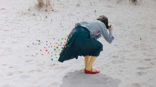 Sveson Jonson, The Pintography Series_02
