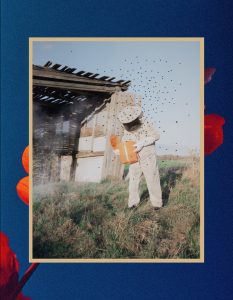 Tutto-Biene-2025-1von2-Copyright-Sveson-Jonson