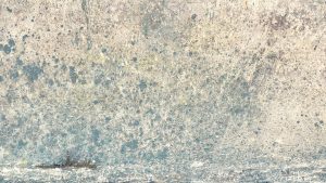 Annette-Selle_Silbermeer_2025_Oel_Leinwand_120x140cm_DETAIL3